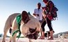 Monty’s Dog Beach & Bar - Spiaggia per cani thumb 10